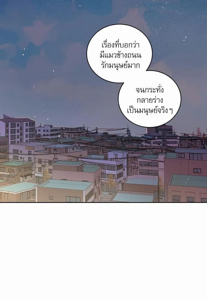 My One and Only Cat ตอนที่ 103 My One and Only Cat ตอนที่ 103
