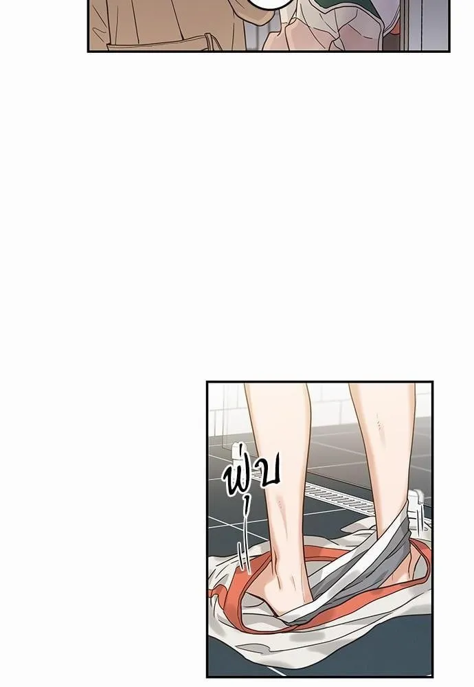 My One and Only Cat ตอนที่ 1036