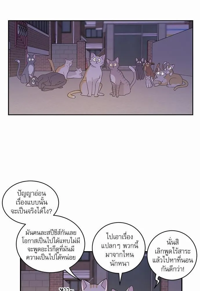 My One and Only Cat ตอนที่ 104 My One and Only Cat ตอนที่ 104