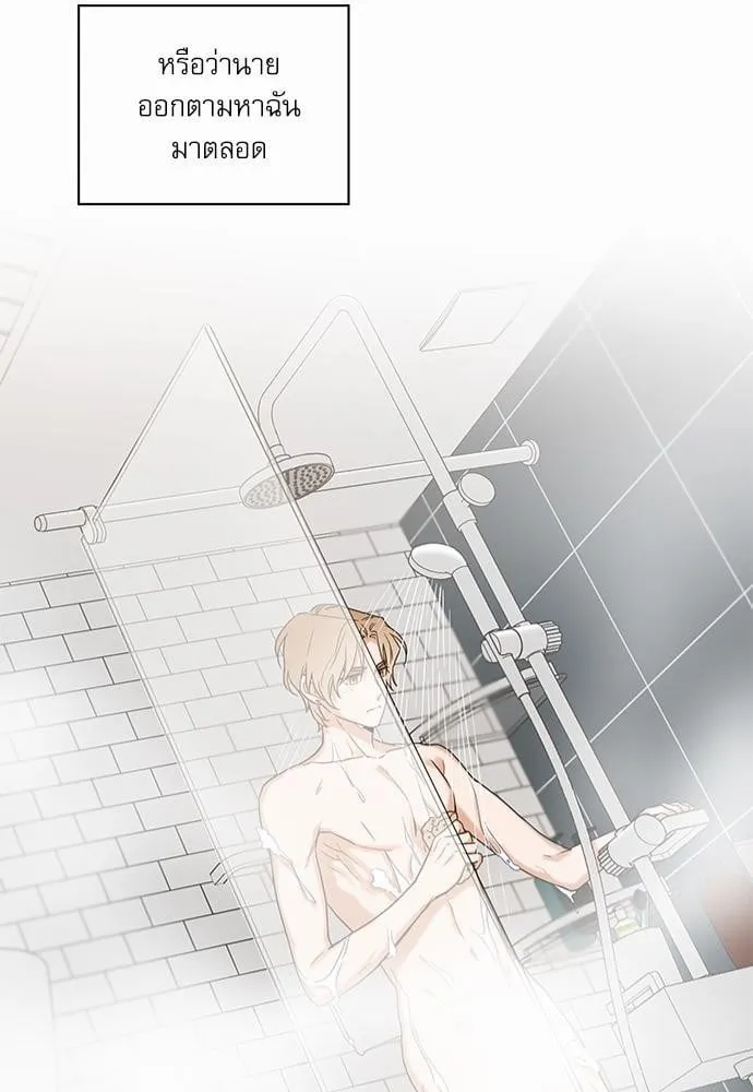 My One and Only Cat ตอนที่ 1041