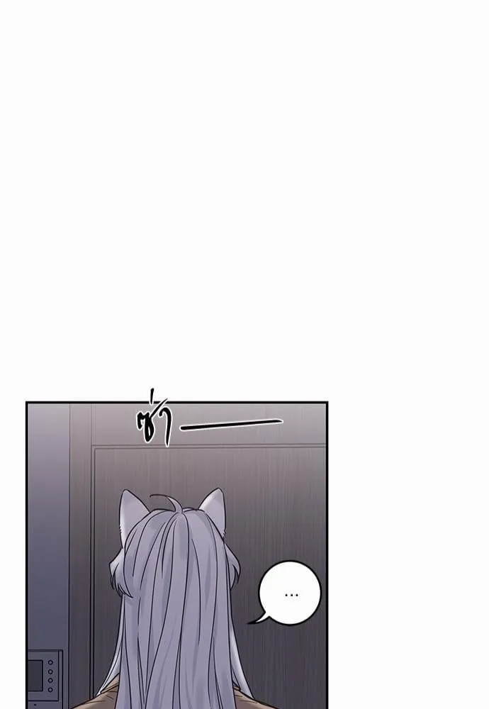 My One and Only Cat ตอนที่ 1043