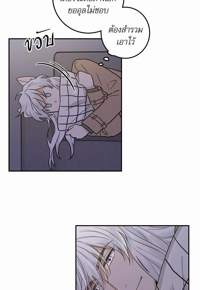 My One and Only Cat ตอนที่ 1049