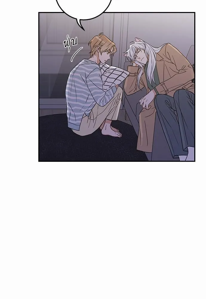 My One and Only Cat ตอนที่ 1053