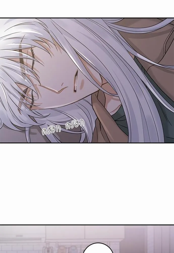 My One and Only Cat ตอนที่ 1054