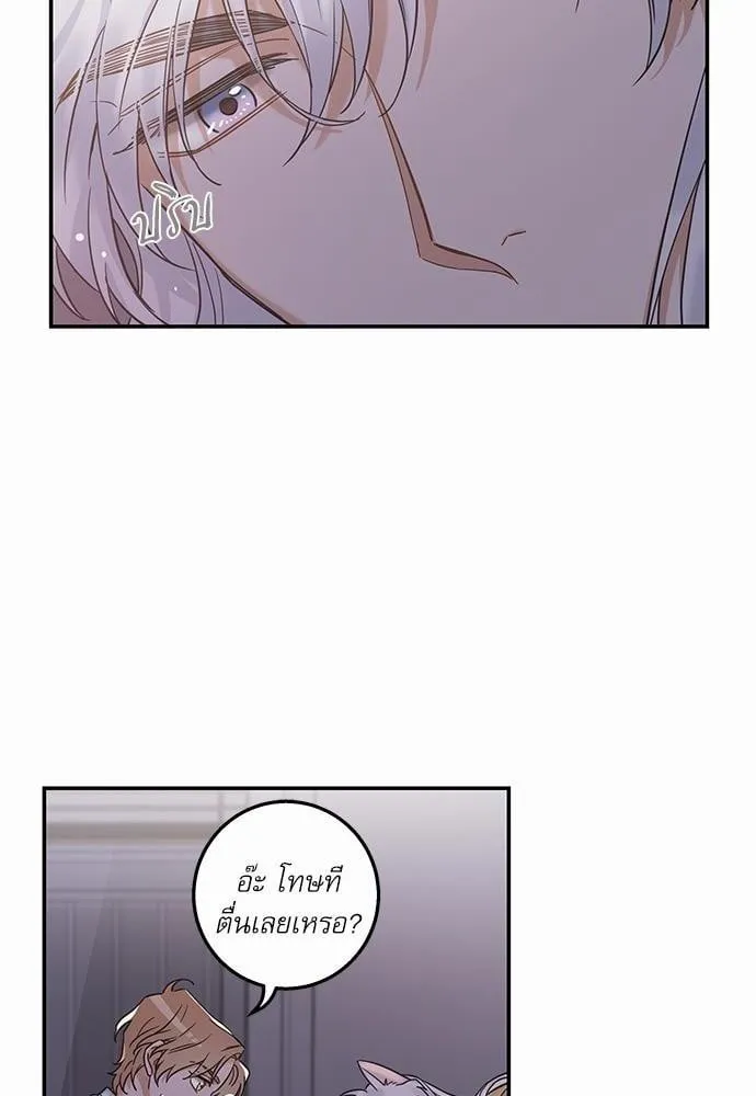 My One and Only Cat ตอนที่ 1058