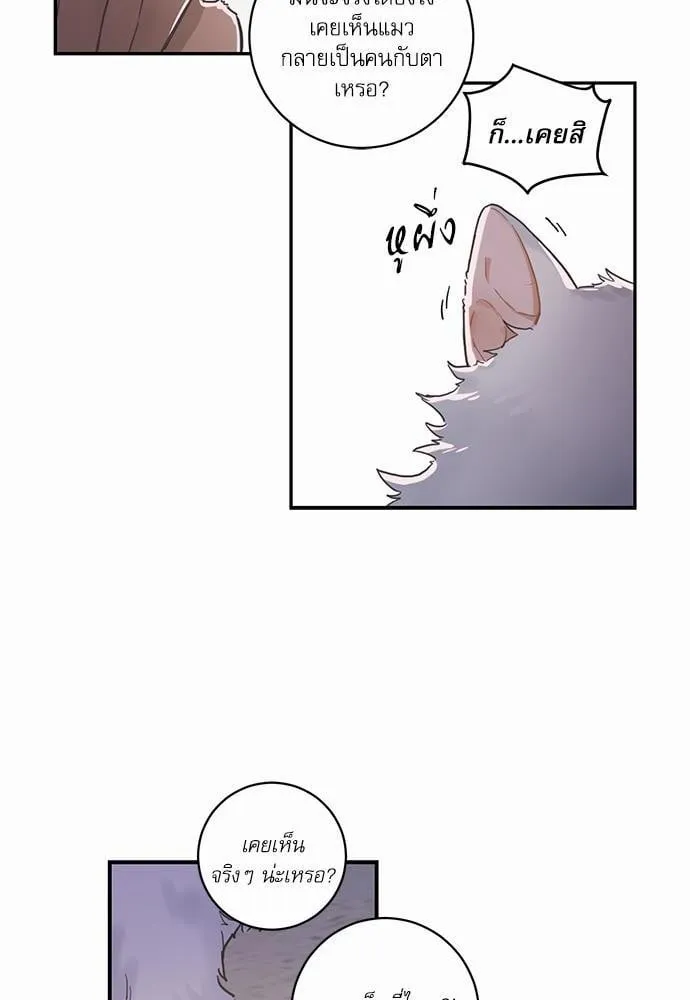 My One and Only Cat ตอนที่ 106 My One and Only Cat ตอนที่ 106