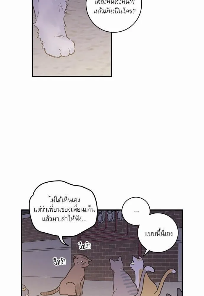 My One and Only Cat ตอนที่ 107 My One and Only Cat ตอนที่ 107
