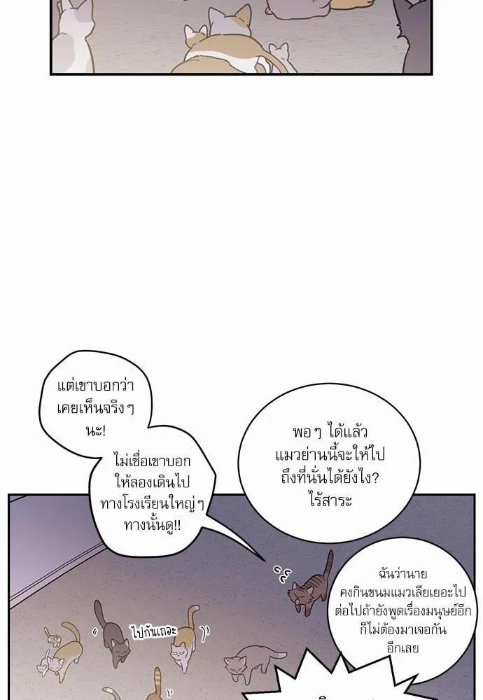 My One and Only Cat ตอนที่ 108 My One and Only Cat ตอนที่ 108