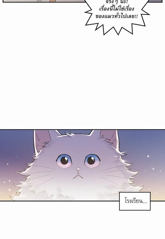 My One and Only Cat ตอนที่ 109 My One and Only Cat ตอนที่ 109