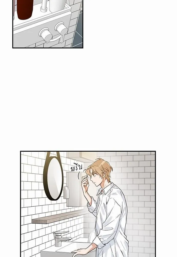 My One and Only Cat ตอนที่ 1102