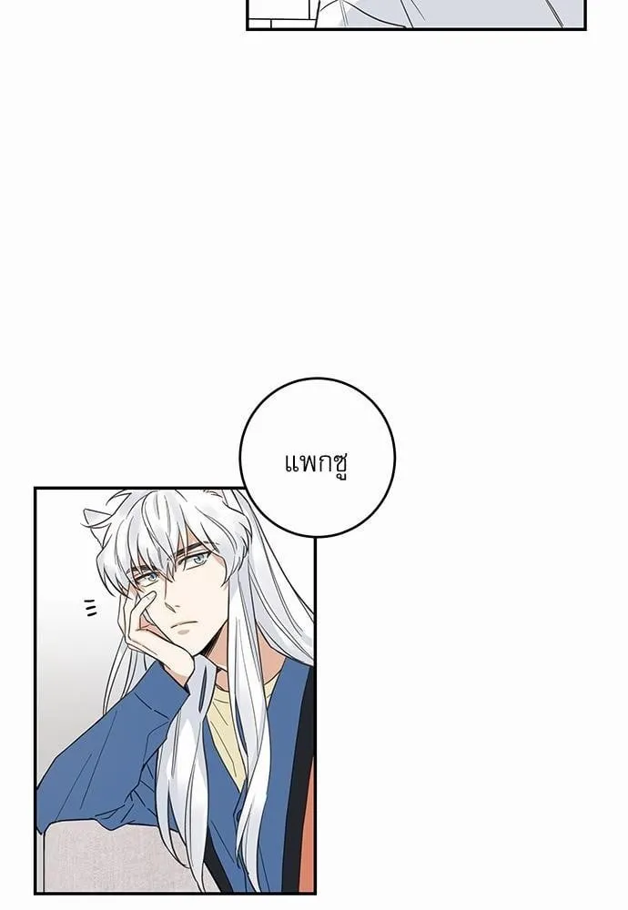 My One and Only Cat ตอนที่ 1104