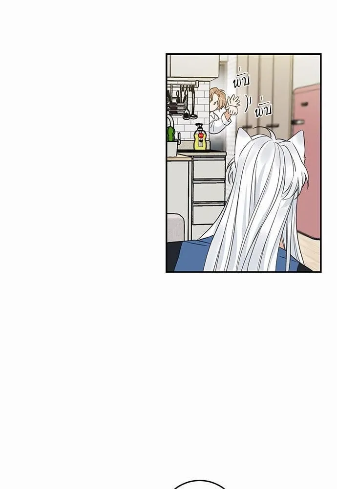 My One and Only Cat ตอนที่ 1105