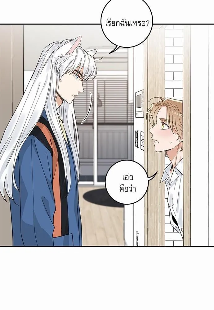 My One and Only Cat ตอนที่ 1106