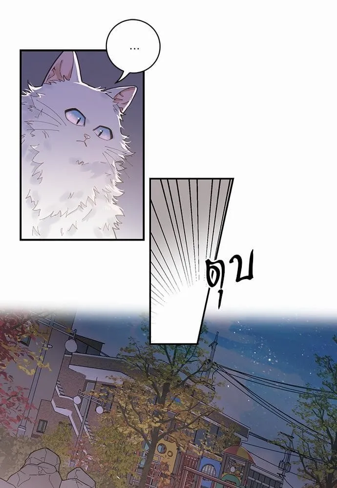 My One and Only Cat ตอนที่ 111 My One and Only Cat ตอนที่ 111