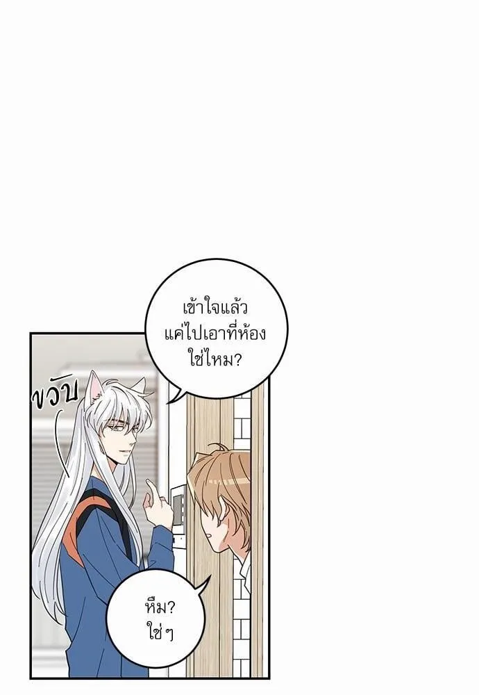 My One and Only Cat ตอนที่ 1110