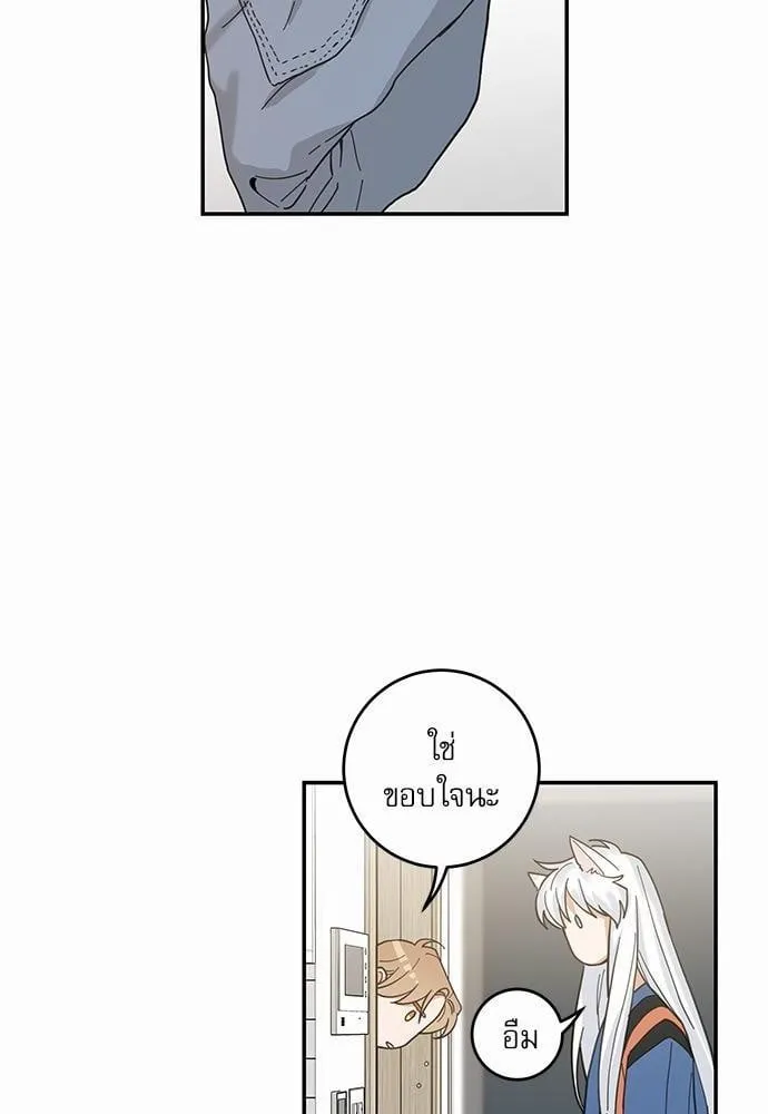 My One and Only Cat ตอนที่ 1112