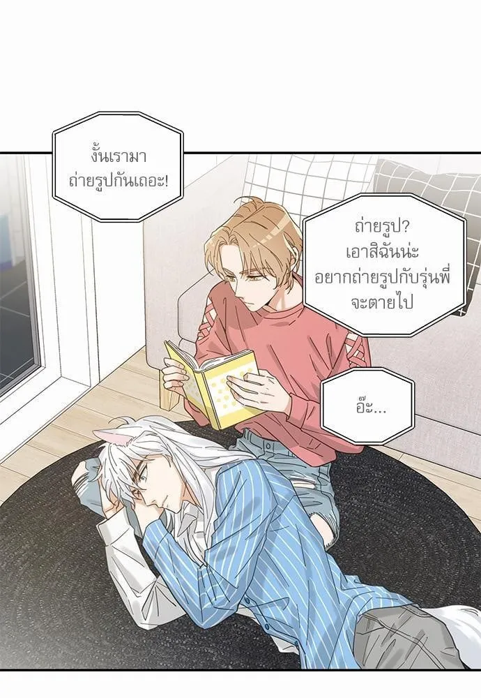 My One and Only Cat ตอนที่ 1117