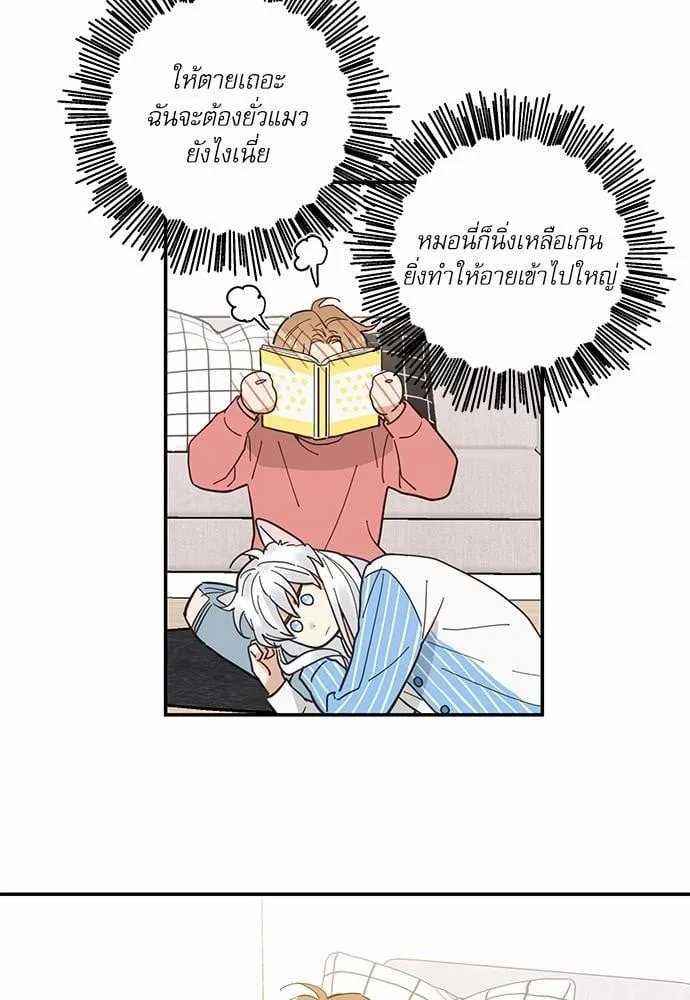 My One and Only Cat ตอนที่ 1120