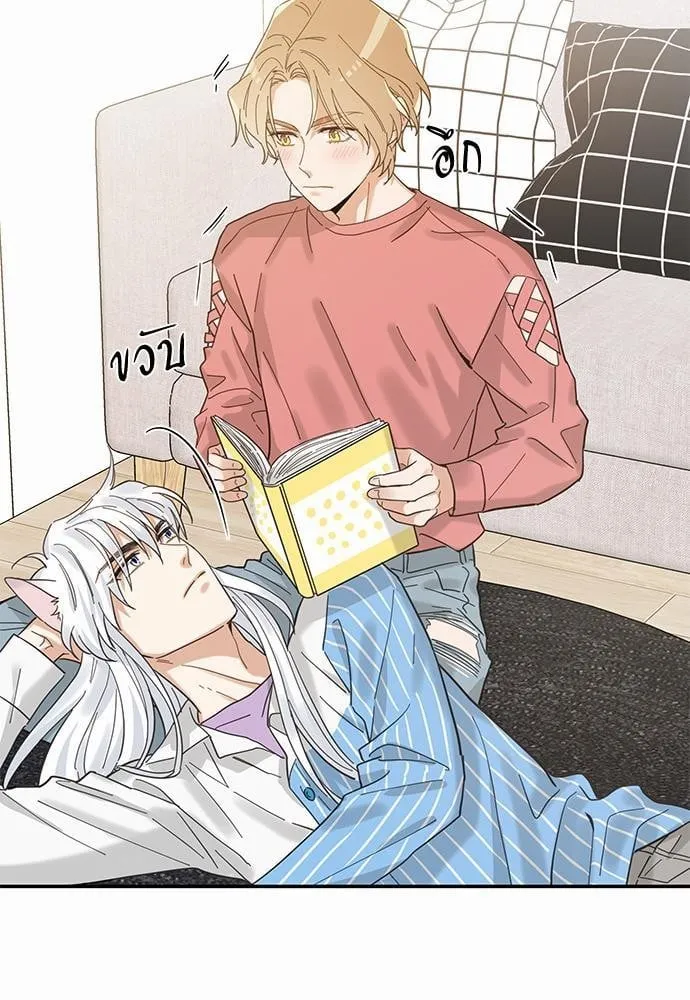 My One and Only Cat ตอนที่ 1121