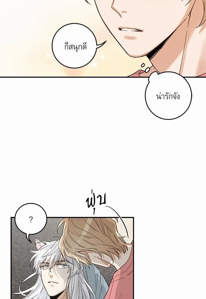 My One and Only Cat ตอนที่ 1123