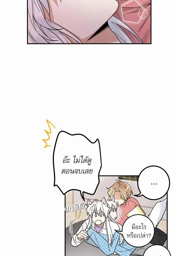 My One and Only Cat ตอนที่ 1125