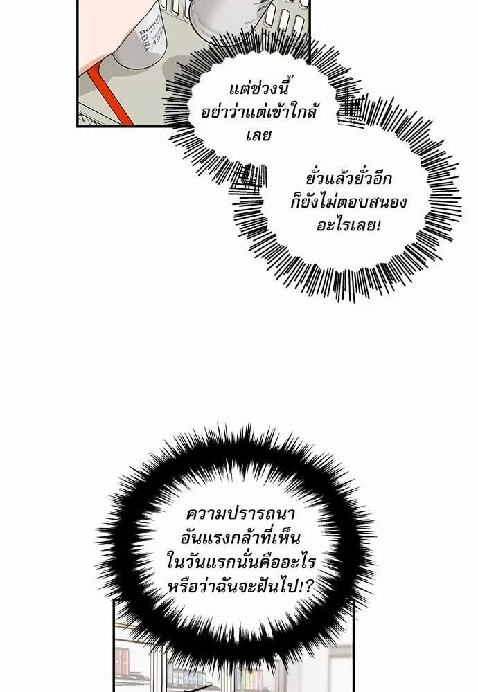 My One and Only Cat ตอนที่ 1131