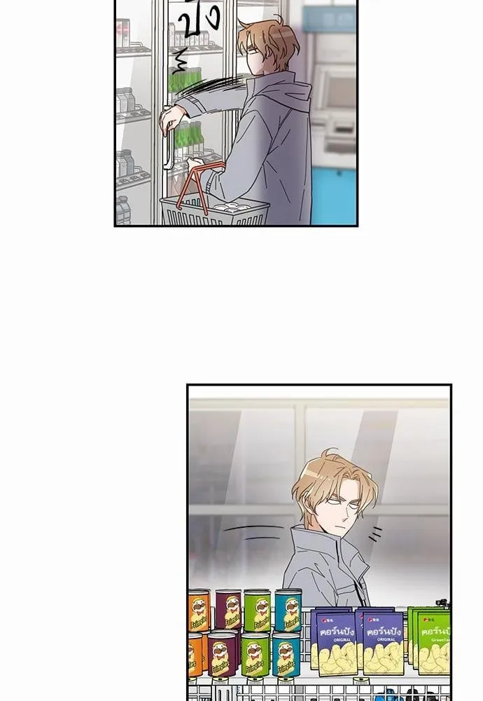 My One and Only Cat ตอนที่ 1132