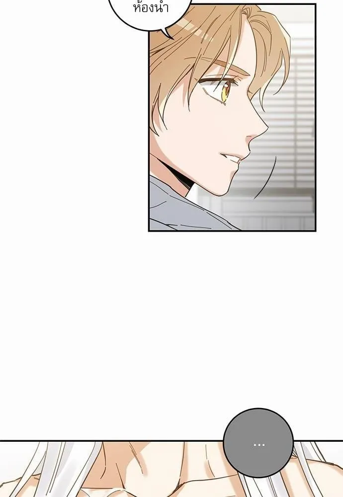 My One and Only Cat ตอนที่ 1144