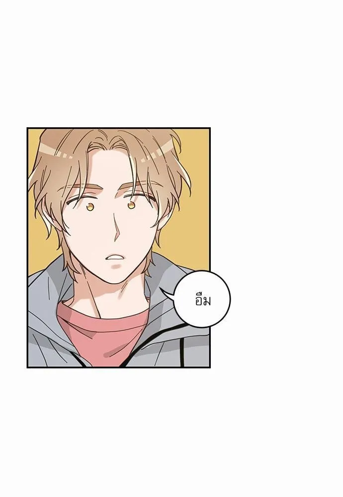 My One and Only Cat ตอนที่ 1147