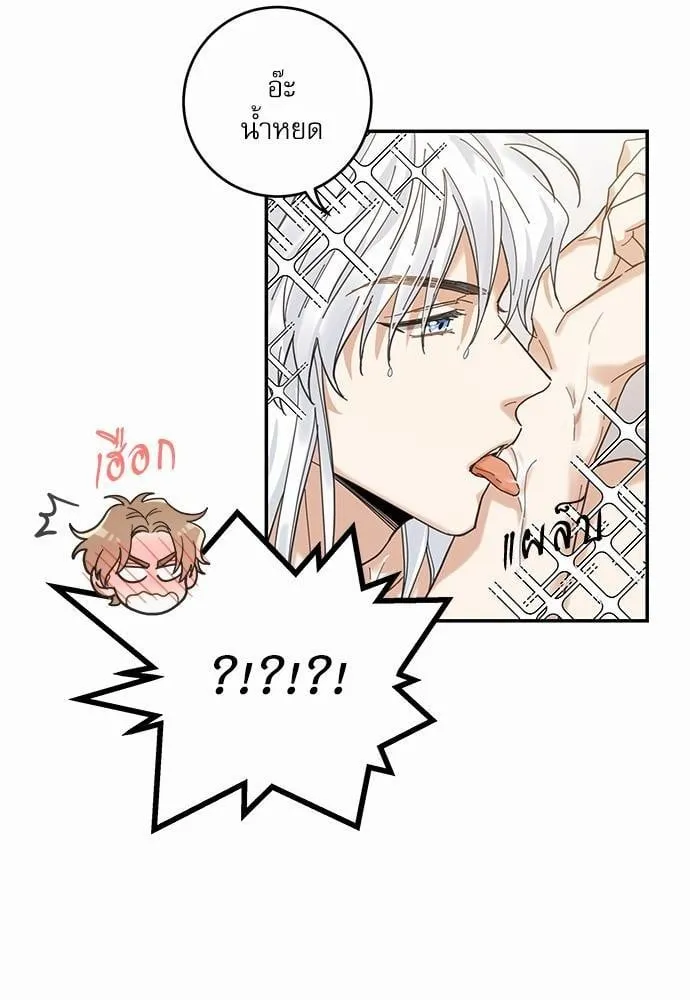 My One and Only Cat ตอนที่ 1148