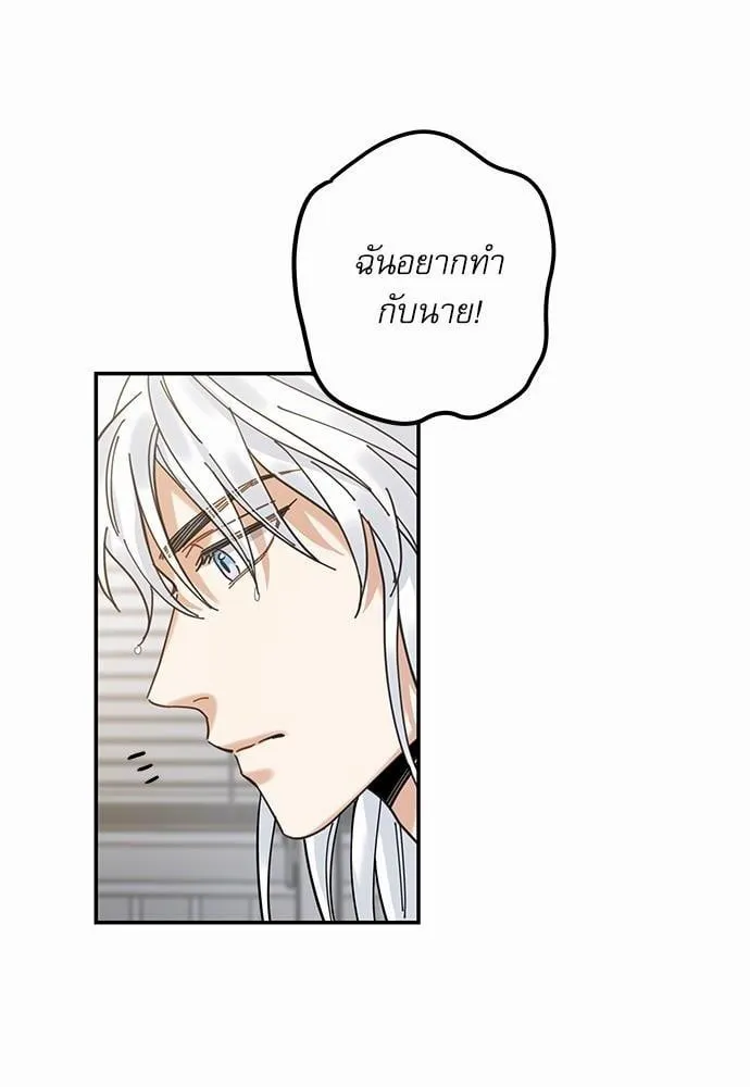 My One and Only Cat ตอนที่ 1154