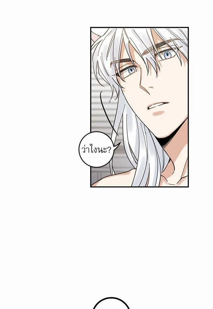 My One and Only Cat ตอนที่ 1155