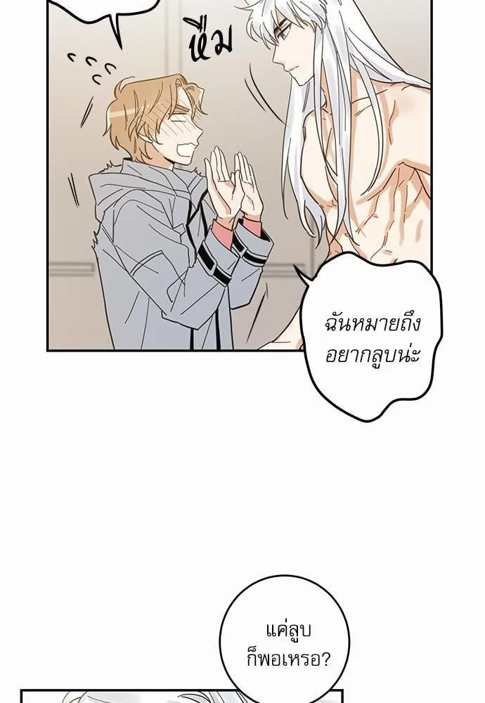 My One and Only Cat ตอนที่ 1157