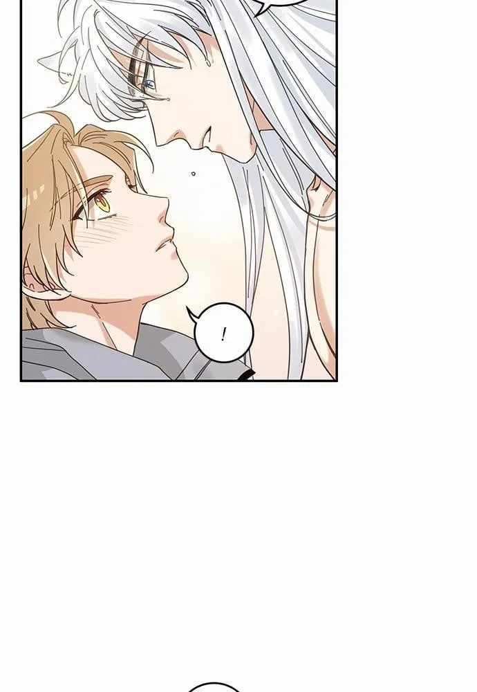 My One and Only Cat ตอนที่ 1158