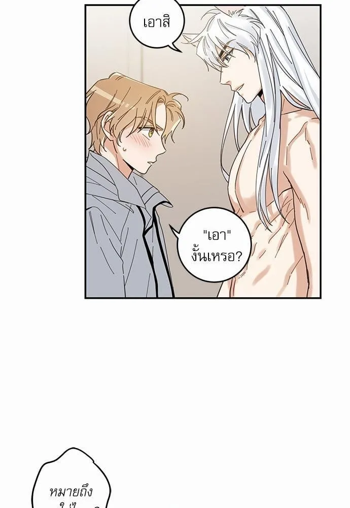 My One and Only Cat ตอนที่ 1159