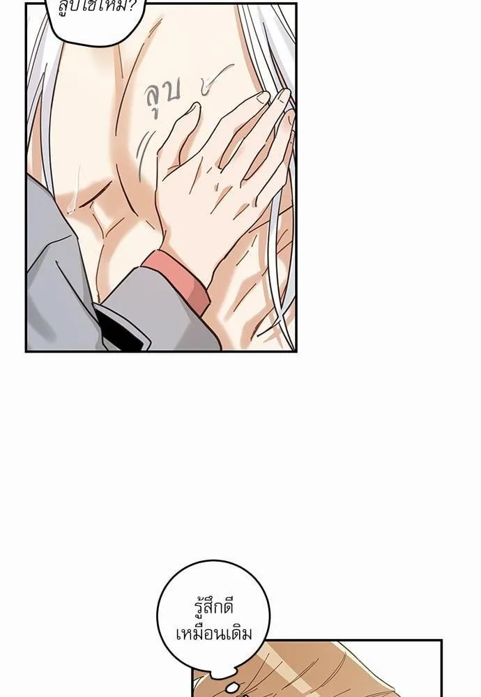 My One and Only Cat ตอนที่ 1160