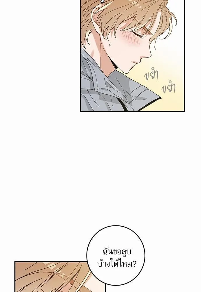 My One and Only Cat ตอนที่ 1161