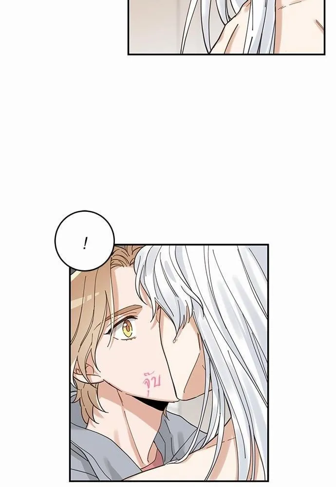 My One and Only Cat ตอนที่ 1164