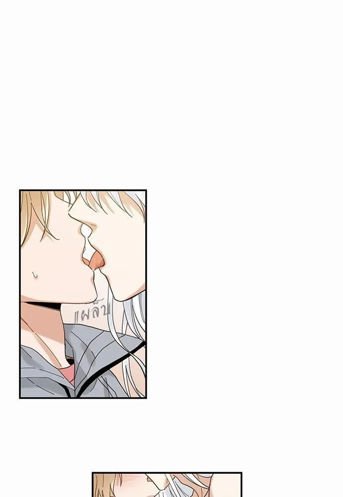 My One and Only Cat ตอนที่ 1165