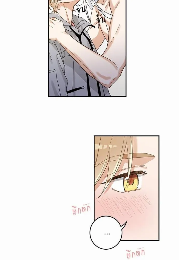 My One and Only Cat ตอนที่ 1166