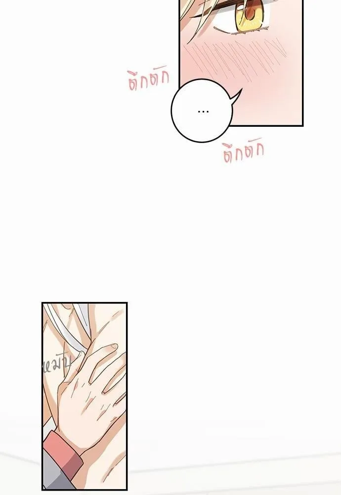 My One and Only Cat ตอนที่ 1202