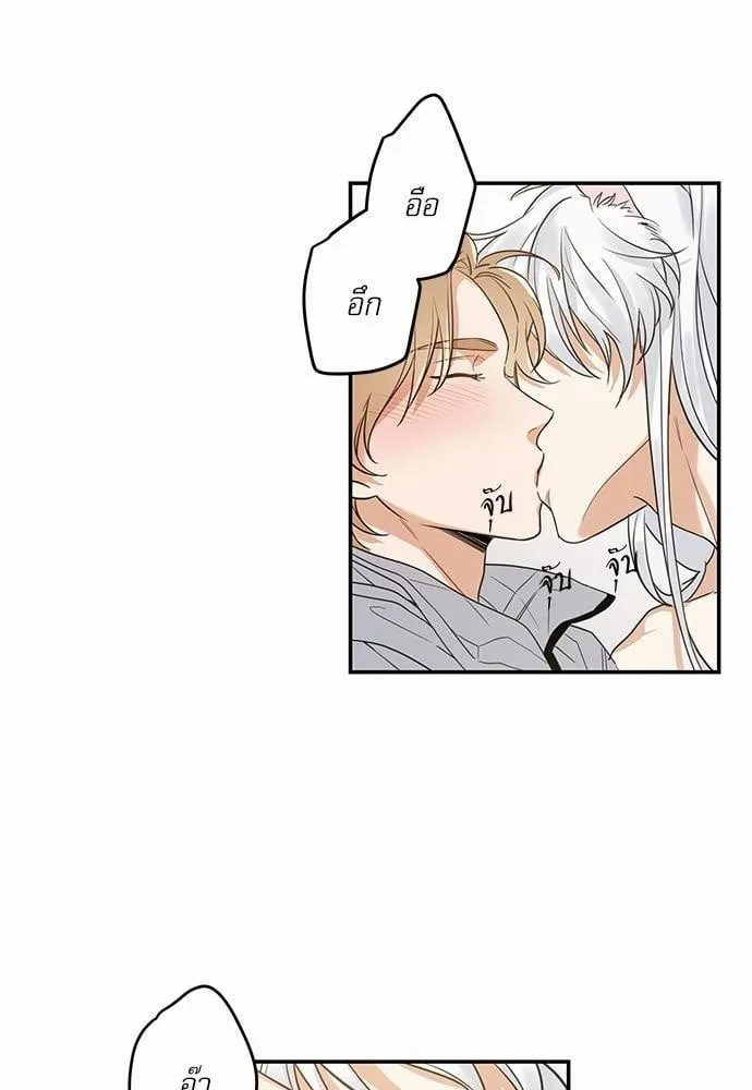 My One and Only Cat ตอนที่ 1206