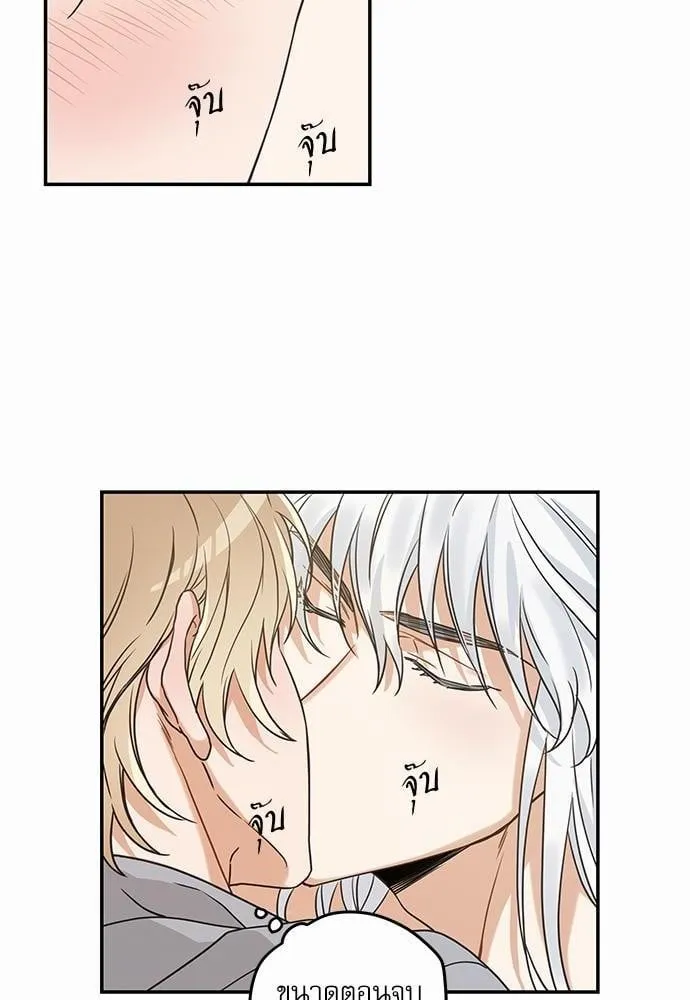 My One and Only Cat ตอนที่ 1208