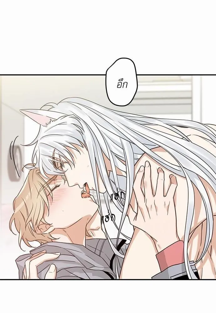 My One and Only Cat ตอนที่ 1210