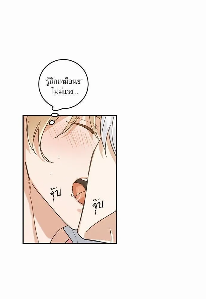 My One and Only Cat ตอนที่ 1211