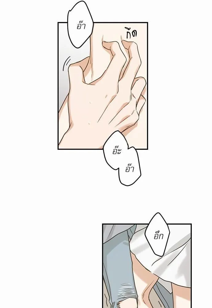 My One and Only Cat ตอนที่ 1212