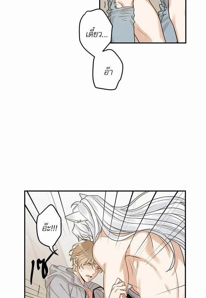 My One and Only Cat ตอนที่ 1213