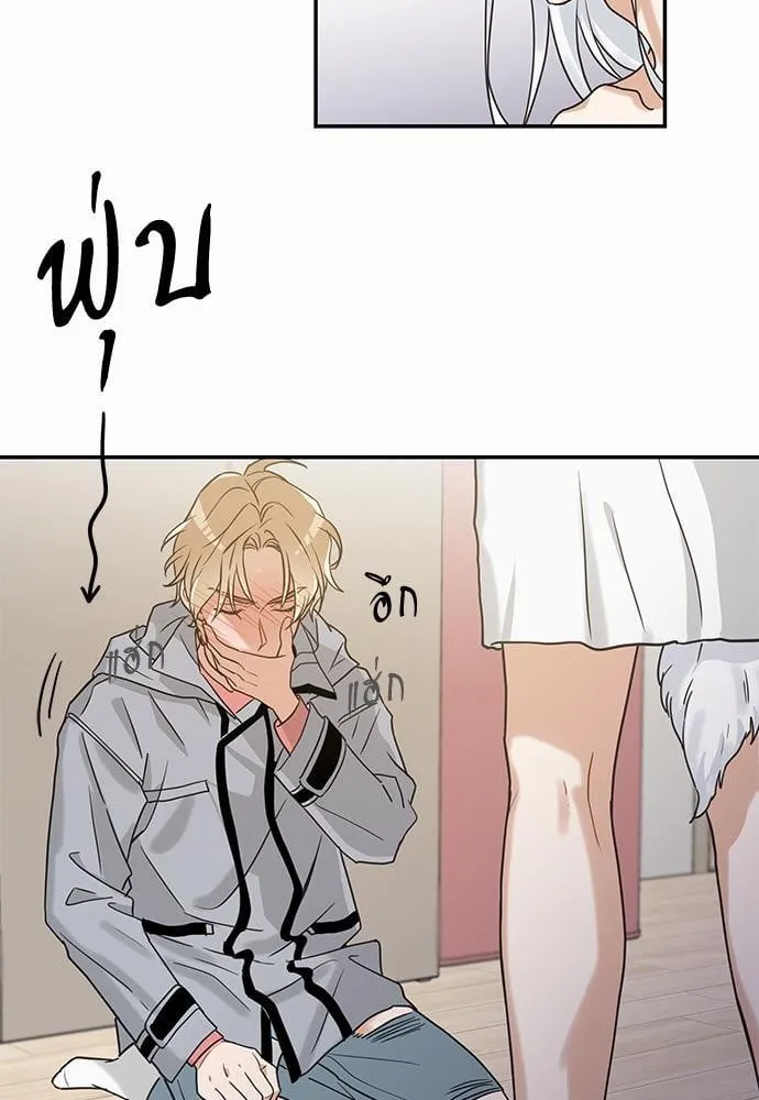 My One and Only Cat ตอนที่ 1215