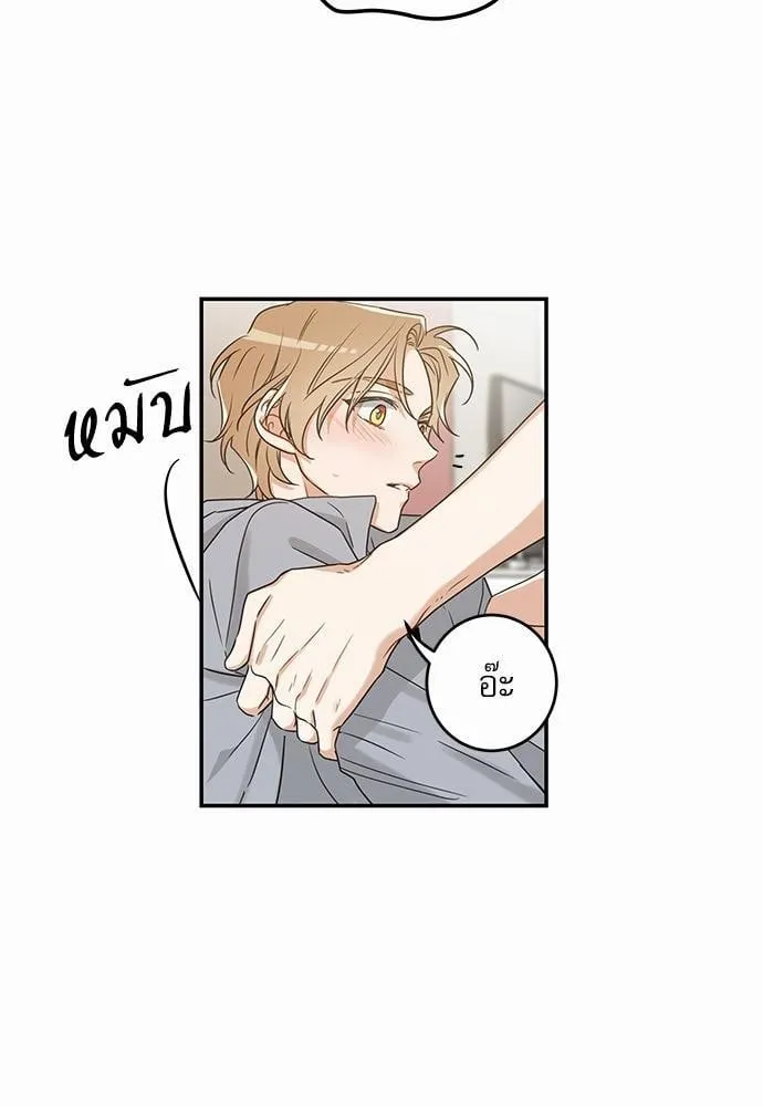 My One and Only Cat ตอนที่ 1217