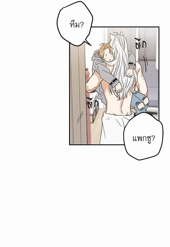 My One and Only Cat ตอนที่ 1218